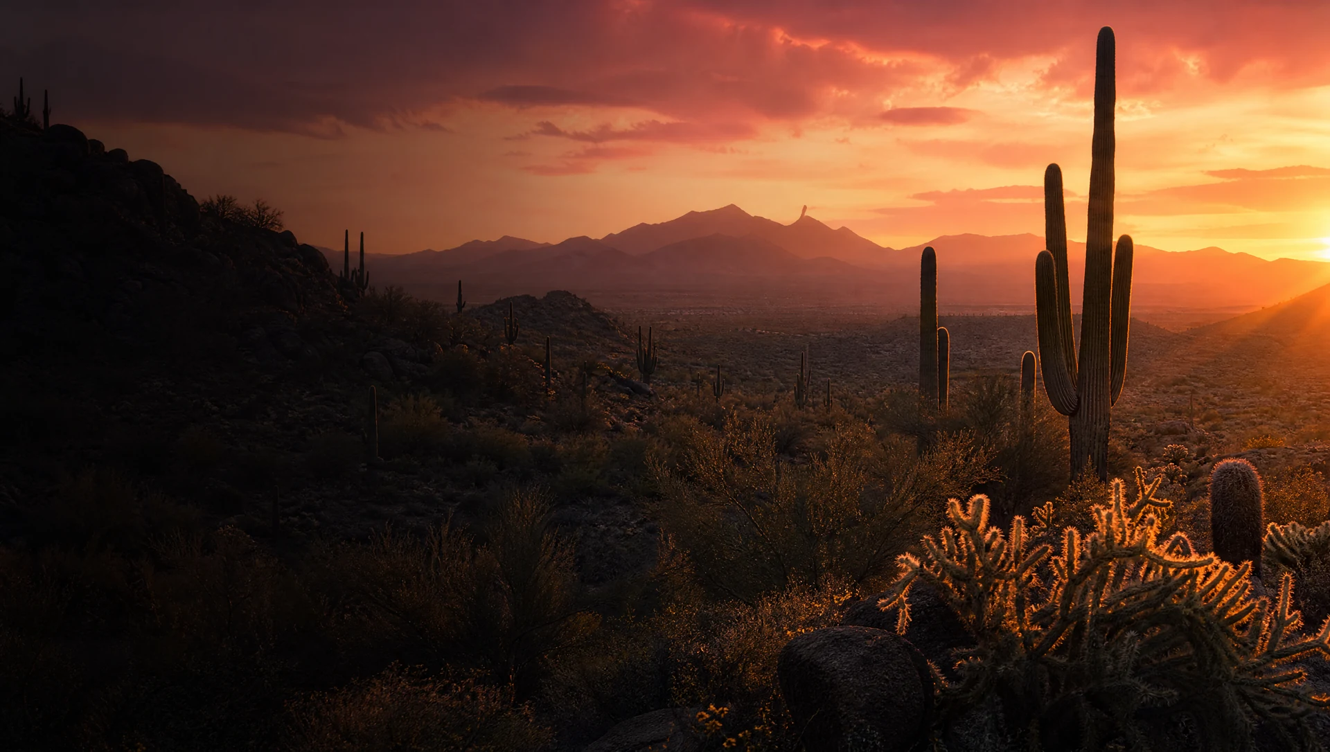 Scottsdale Arizona sunset