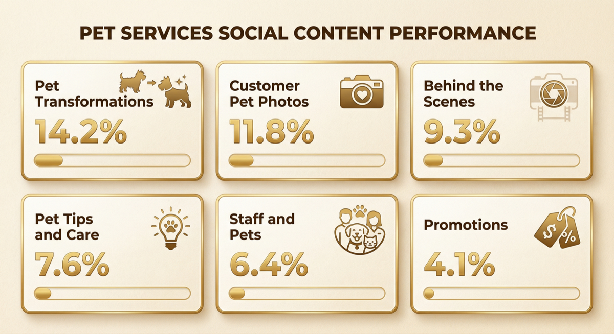 Pet services social media content performance