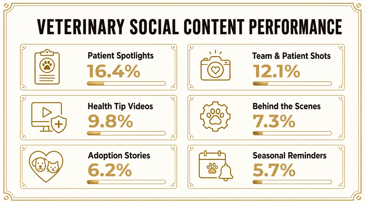 Average engagement rate by content type for veterinary social media